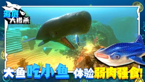 一个在海里的单机游戏有哪些2023