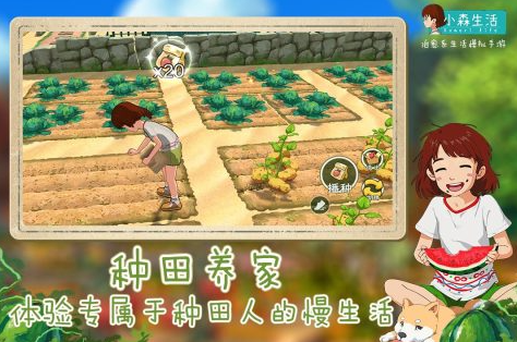 耐玩的生活的游戏下载推荐