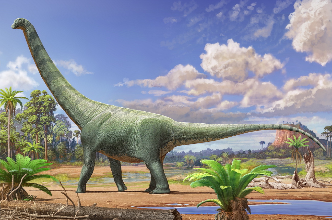 恐龙进化生存游戏有哪些2023
