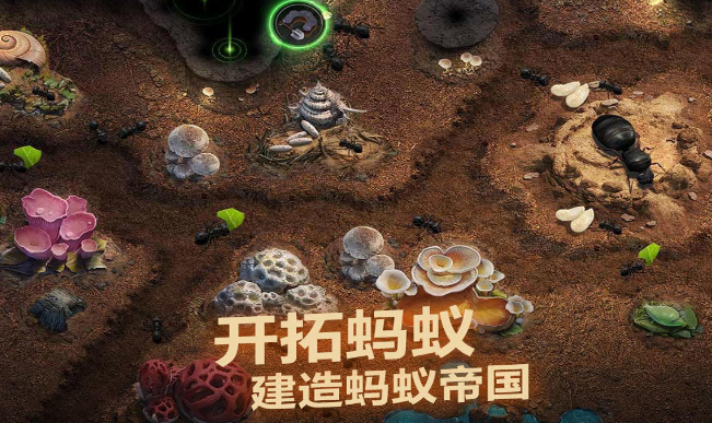 趣味游戏有哪些2024