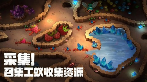 关于蚂蚁的游戏有哪些