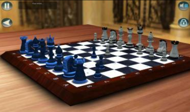  An inventory of the game of chess