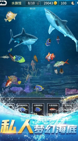 耐玩的十大经典钓鱼游戏大全