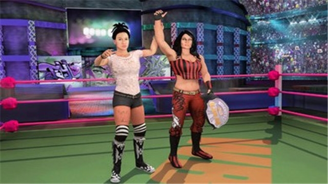 流行的美女摔跤3d游戏有哪些