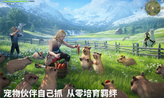 最喜欢的游戏排行榜