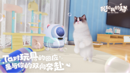 一个屋子里养猫的游戏叫什么